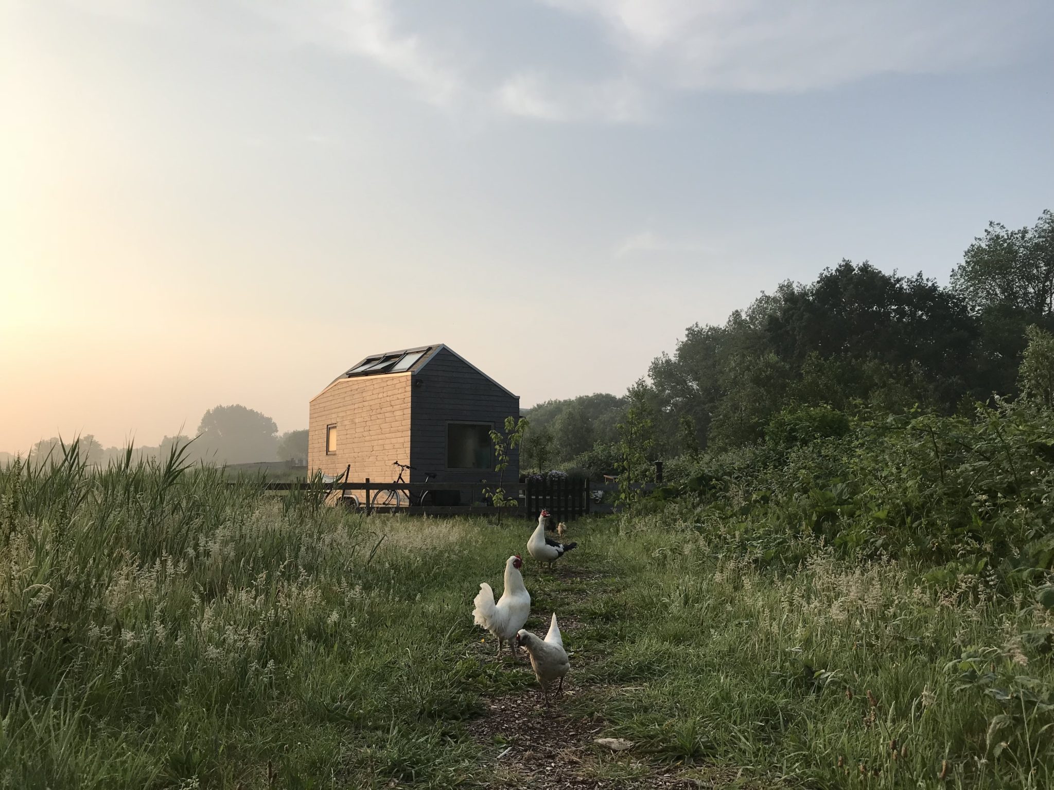 Tiny House in field with chickens